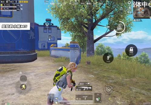 和平精英新版本龙跃长城最新爆料,和平精英新版本揭秘，长城守卫战即将开启！